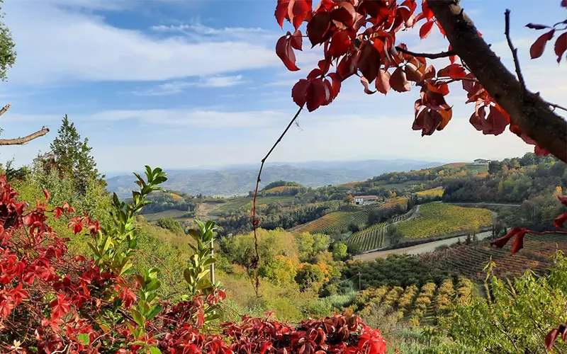 Colline in autunno