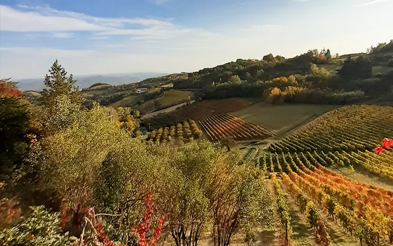 Panorami e cantine